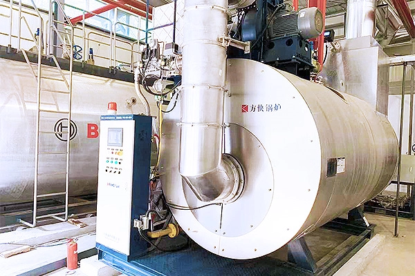 good Condensing steam boiler - Euromonitor 6