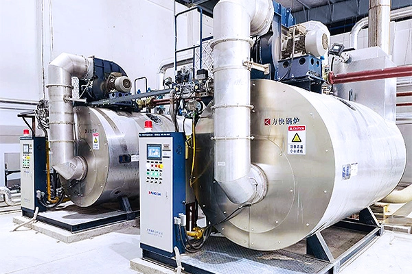 Condensing steam boiler - Euromonitor 6 for sale