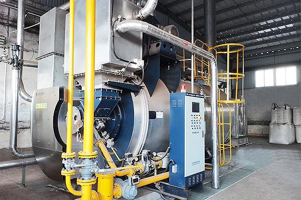 good Condensing steam boiler - Euromonitor 7